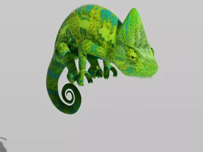 Green Chameleon Low-poly 3D model