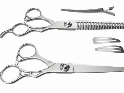 Hair Cutting Thinning Scissors Set Steel 3D model