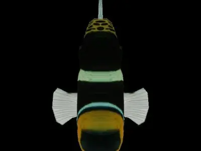 Clown Crossbow Fish Low-poly 3D model