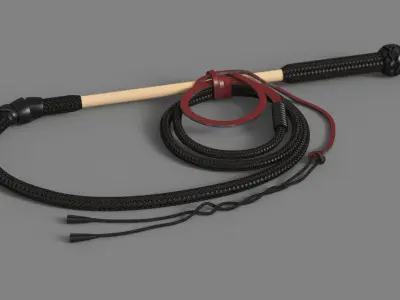 Historical Leather Whip Braided Black 3D model