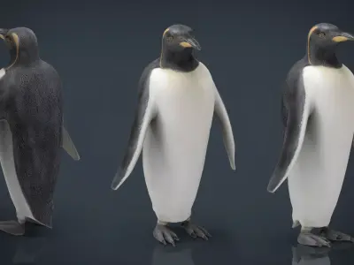 Penguin Low-poly 3D model purchase