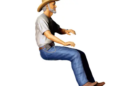 N3 Truck Driver 3D print model