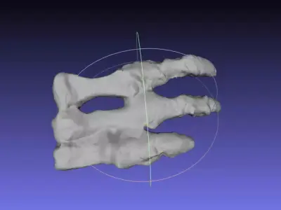 Psittacosaurus Left Hand Free 3D print model