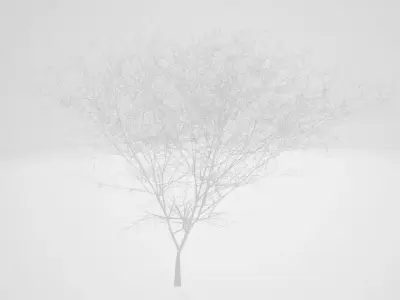 forest tree Free 3D model