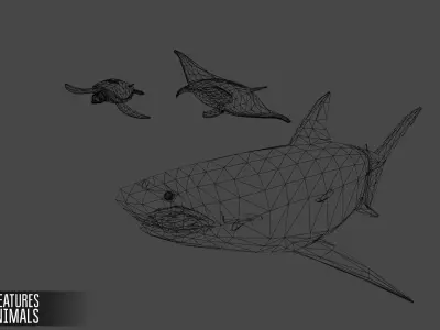 Sea Creatures Low-poly 3D model