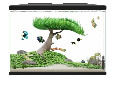 Aquascape Ryoboku Low-poly 3D model