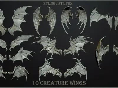 10 Creature wings  3D model