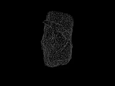 Anydrafts Salix matsudana Burl 01 Low-poly 3D model