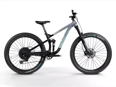 Mountain Bike Low-poly 3D model shop