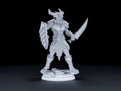 Dragon born warrior V4 3D print model