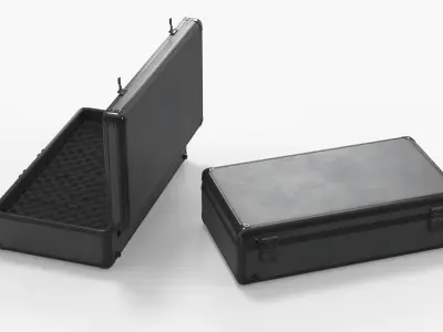 Protective Carry Case with Locks and Foam Insert Black 3D model