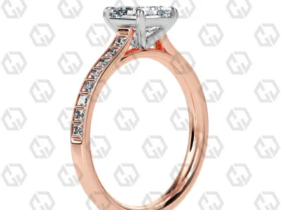 Ring 71 Asscher Shape and princess on shanks with Gems 3D print model