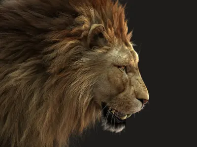 Lion 3 RIG FUR 3D model