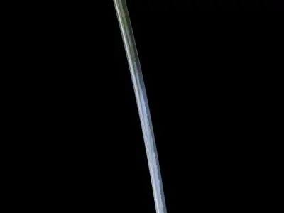 Weapon Katana Sword Blade 3D-model Free 3D model