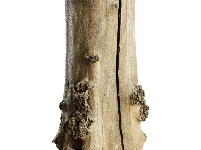  Medium Cut Bare Split Burly Stump Model 