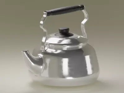Stainless Steel Kettle 3D model