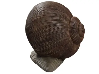 Snail 3D model buy