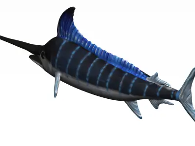 Merlin swordfish Low-poly 3D model