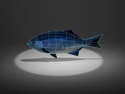 Blue perch Low-poly 3D model