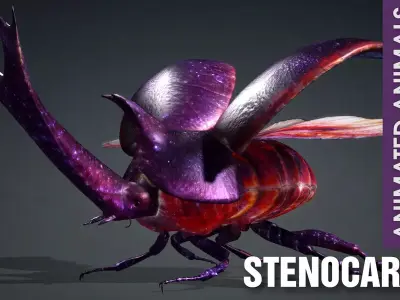 Stenocara A2 Free 3D model