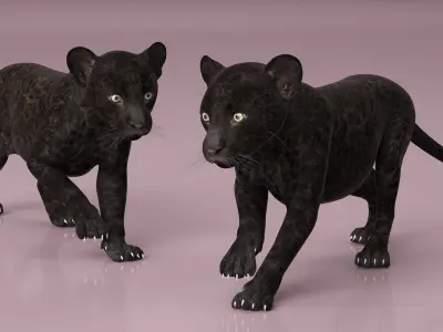 Panther Cub Wary Pose 3D model