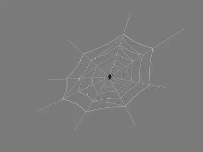 Web And Spider 3D model