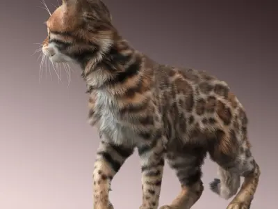 Bengal cat(2)(FUR)(ANIMATED) 3D model
