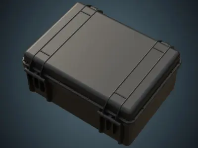 Protective Case 1A Low-poly 3D model