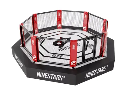 Comprehensive Boxing and MMA Gym Equipment Bundle Low-poly 3D model