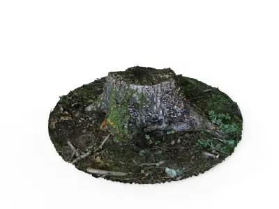 Forest Tree Stump 4K -Part 5- Free low-poly 3D model