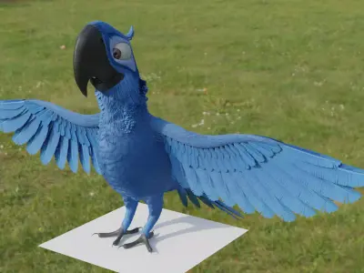 Blue Macaw 3D model buy