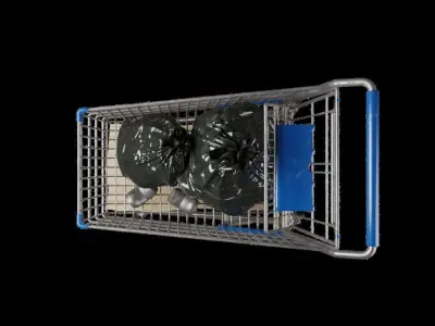 Shopping Cart high quality 3D model