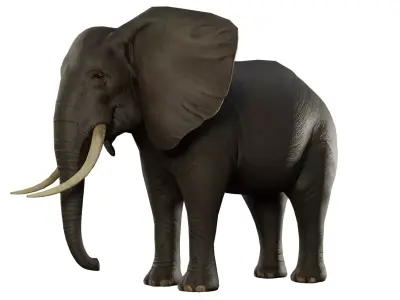 Animal Elephant Low-poly 3D model