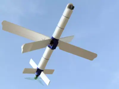KAMIKAZE SUICIDE UAV DRONE 3D print model
