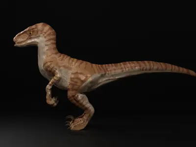 Velociraptor Dinosour Low-poly 3D model Free low-poly 3D model