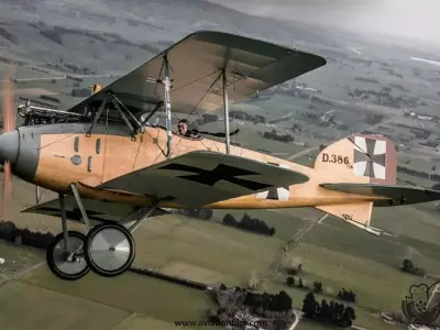 albatros d2 3D model