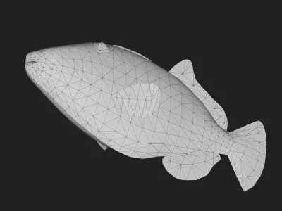 Filefish Low-poly 3D model order