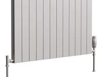 Reina Vicari Designer Radiator 3D model