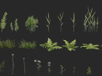 Optimized Nature Collection 3D Model Pack