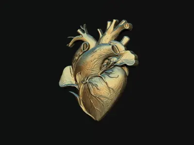Heart 03 3D print model purchase