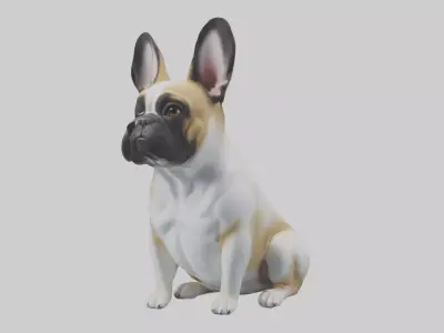 Sitting French Bulldog model Low-poly 3D model