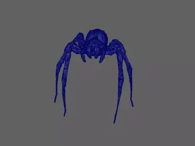 Spider 3D model 20