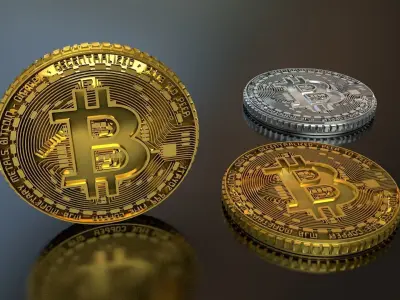 BIT Coin 3D model