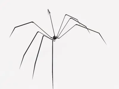 Spider low poly 3d model sculpture Free low-poly 3D model