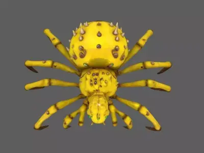 Spider 3D model 7
