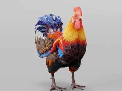 Rooster 3D model purchase