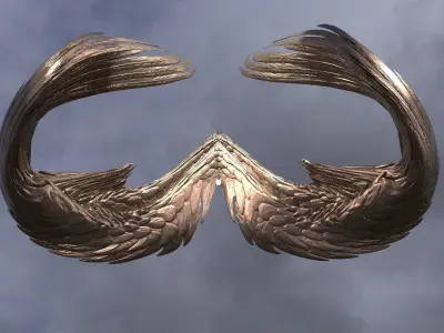 Wind Elements Wings Collection 3D model