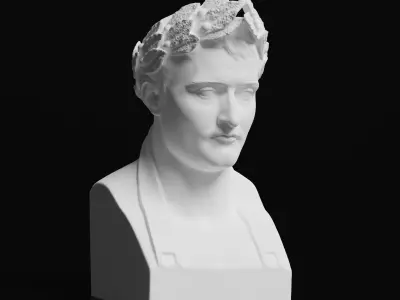 Napoleon Bonaparte Bust Highres for 3D Printing 3D print model