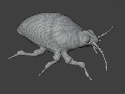 colorful beetle Low-poly 3D model