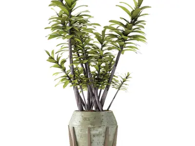 Plant in Pot Flowerpot Exotic Plant 3D model